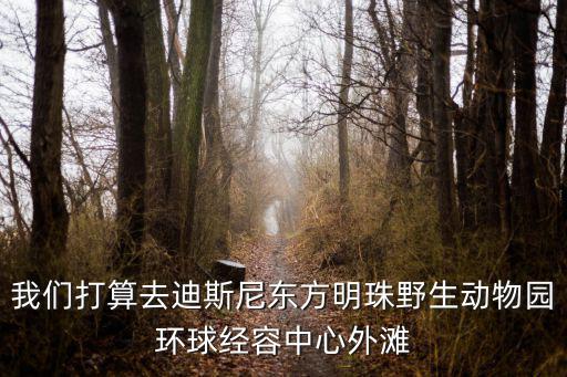 我們打算去迪斯尼東方明珠野生動物園環(huán)球經(jīng)容中心外灘