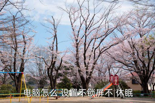  電腦怎么 設置不鎖屏不 休眠