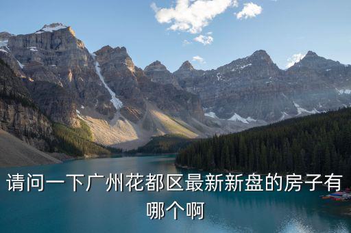 請問一下廣州花都區最新新盤的房子有哪個啊