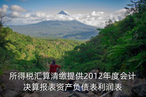 所得稅匯算清繳提供2012年度會計決算報表資產負債表利潤表