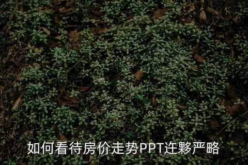 如何看待房價走勢PPT迕夥嚴略