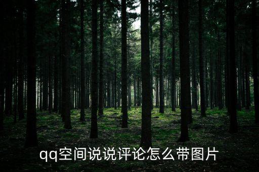 qq空間說(shuō)說(shuō)評(píng)論怎么帶圖片