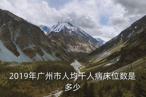 2019年廣州市人均千人病床位數(shù)是多少