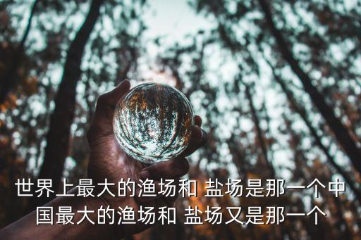 中國最大的鹽場,中國四大漁場海鹽產量占全國總產量四分一