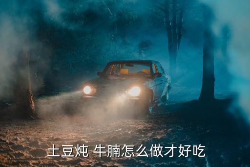 土豆燉 牛腩怎么做才好吃