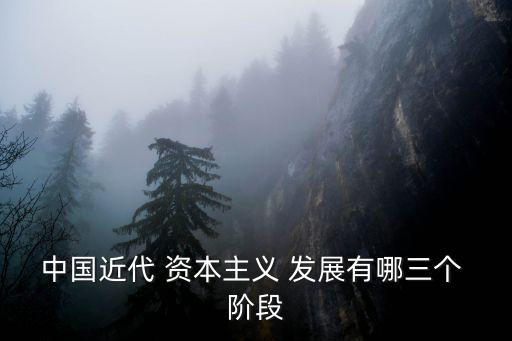 中國近代 資本主義 發展有哪三個 階段