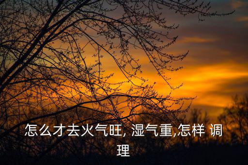怎么才去火氣旺, 濕氣重,怎樣 調理