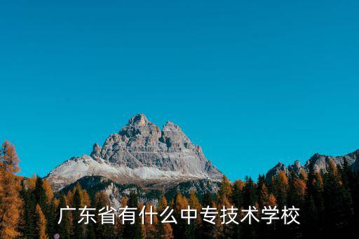 廣東省有什么中專技術學校
