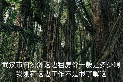 武漢市白沙洲這邊租房價一般是多少啊我剛在這邊工作不是很了解這