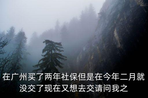 在廣州買了兩年社保但是在今年二月就沒交了現(xiàn)在又想去交請問我之