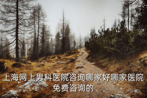 上海網(wǎng)上男科醫(yī)院咨詢哪家好哪家醫(yī)院免費咨詢的