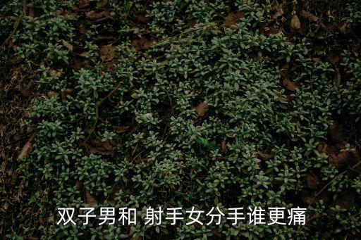  雙子男和 射手女分手誰(shuí)更痛