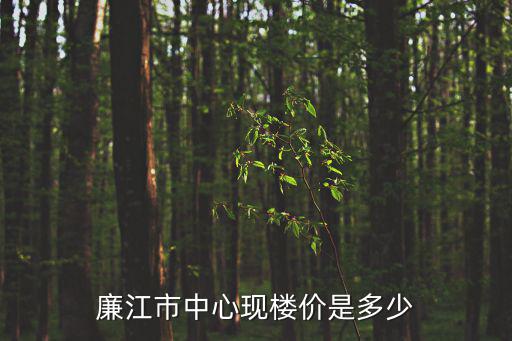 廉江市中心現樓價是多少