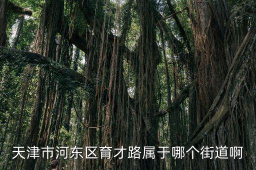 天津市河?xùn)|區(qū)育才路屬于哪個(gè)街道啊