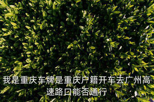 重慶開州出發廣州可走路線，我是重慶車牌是重慶戶籍開車去廣州高速路口能否通行