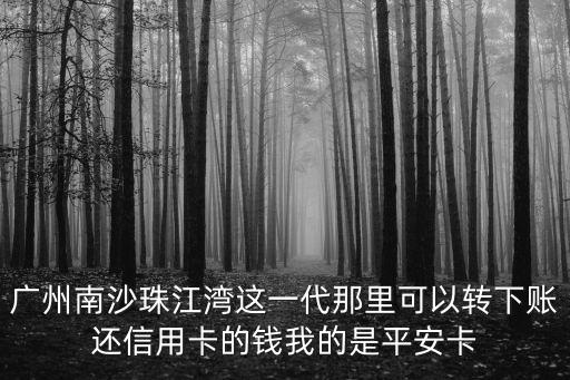 年廣州市南沙珠江灣，廣州南沙珠江灣這一代那里可以轉下賬還信用卡的錢我的是平安卡