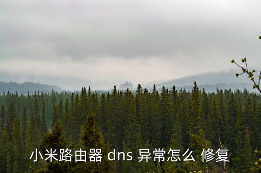 小米路由器 dns 異常怎么 修復