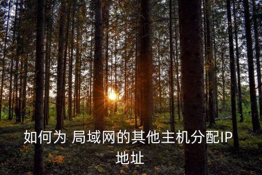 如何為 局域網的其他主機分配IP 地址