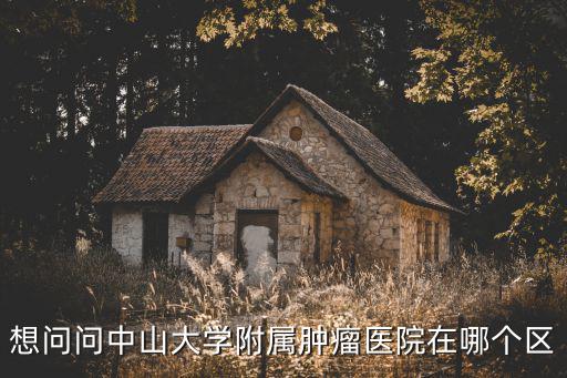 想問問中山大學(xué)附屬腫瘤醫(yī)院在哪個(gè)區(qū)