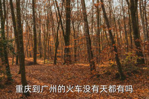 重慶到廣州的火車沒有天都有嗎