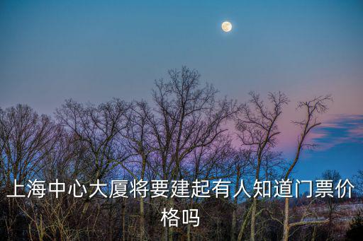 上海中心大廈將要建起有人知道門票價格嗎