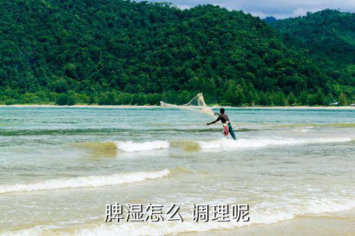 脾濕怎么 調理呢