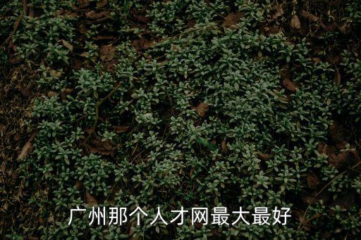 廣州市人材網(wǎng)，廣州那個人才網(wǎng)最大最好