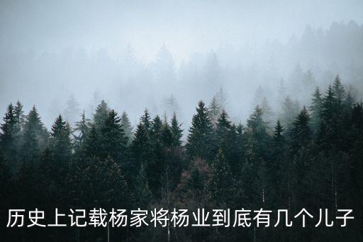 歷史上記載楊家將楊業(yè)到底有幾個兒子