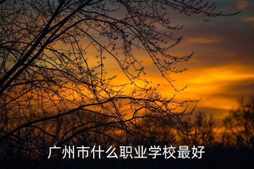 廣州市什么職業學校最好