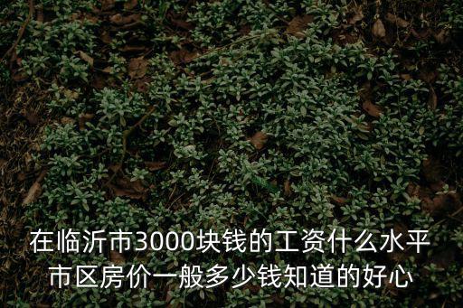 在臨沂市3000塊錢的工資什么水平市區(qū)房價一般多少錢知道的好心