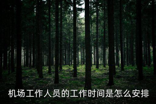  機(jī)場工作人員的工作時間是怎么安排
