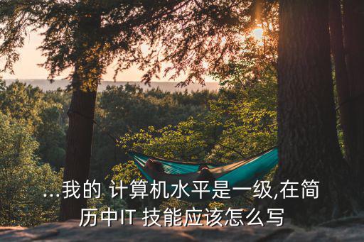...我的 計算機水平是一級,在簡歷中IT 技能應(yīng)該怎么寫
