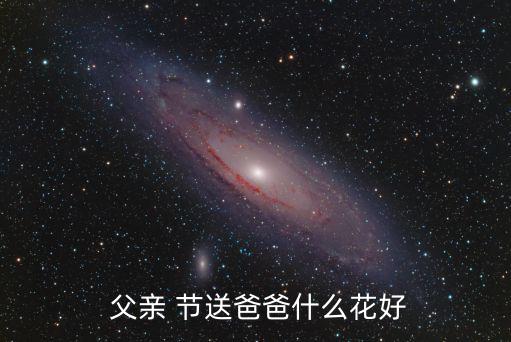 父親節(jié)送什么花,父愛之花君子蘭寓意孝順