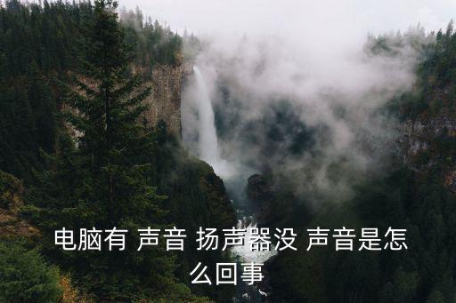 電腦揚聲器沒聲音,1月份第一輪擁車證標價全面下滑