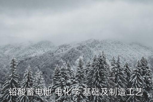 鉛酸蓄電池 電化學(xué) 基礎(chǔ)及制造工藝
