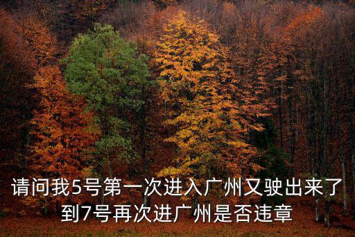 請(qǐng)問我5號(hào)第一次進(jìn)入廣州又駛出來了到7號(hào)再次進(jìn)廣州是否違章