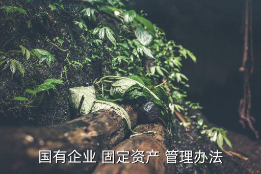 國(guó)有企業(yè) 固定資產(chǎn) 管理辦法