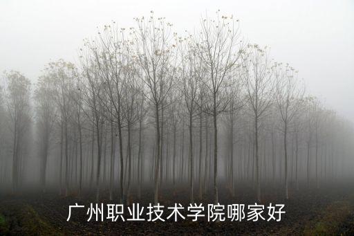 廣州職業(yè)技術(shù)學院哪家好