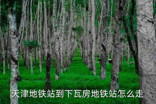 天津地鐵站到下瓦房地鐵站怎么走