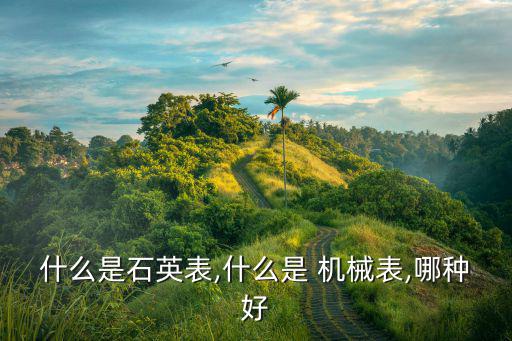 什么是機械表,manual機械表上弦驅動手表需要上發(fā)條