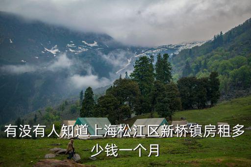 有沒有人知道上海松江區新橋鎮房租多少錢一個月