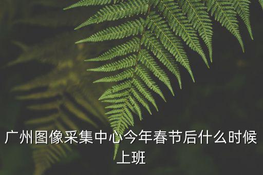 廣州圖像采集中心今年春節后什么時候上班