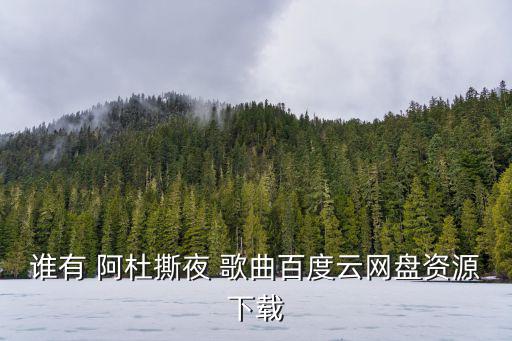 誰有 阿杜撕夜 歌曲百度云網(wǎng)盤資源下載