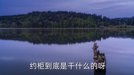  約柜到底是干什么的呀