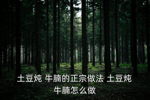  土豆燉 牛腩的正宗做法 土豆燉 牛腩怎么做