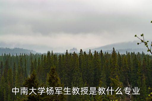 劉樹(shù)文教授，中南大學(xué)楊軍生教授是教什么專業(yè)