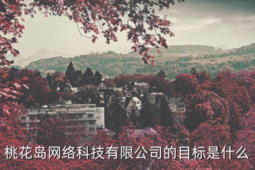 桃花島網絡科技有限公司的目標是什么