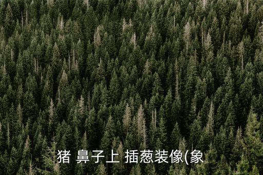 豬 鼻子上 插蔥裝像(象