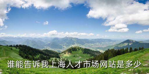 誰能告訴我上海人才市場網站是多少