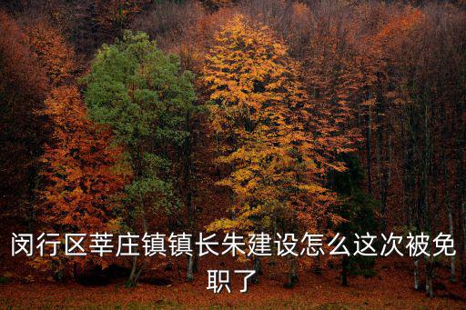 閔行區(qū)莘莊鎮(zhèn)鎮(zhèn)長朱建設(shè)怎么這次被免職了